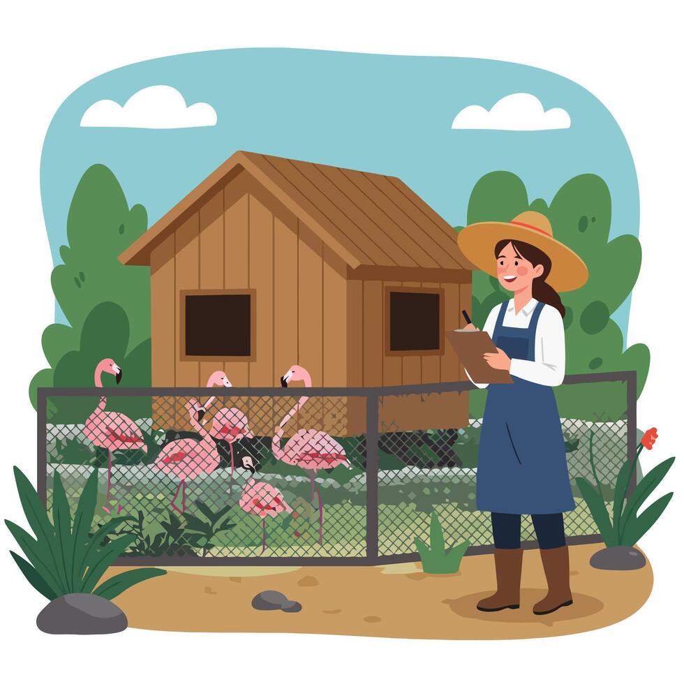 Woman Observing Flamingos at Enclosure with Clipboard in a Natural Habitat vector