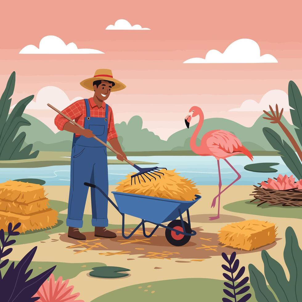 Farmer Raking Hay Into Wheelbarrow Beside Flamingo Near Water vector