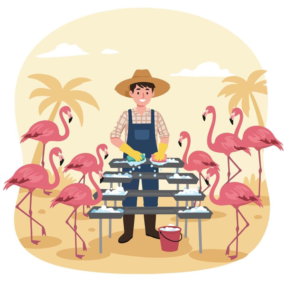 Person Cleaning Flamingo Feeding Trays with Pink Birds in Tropical Setting vector