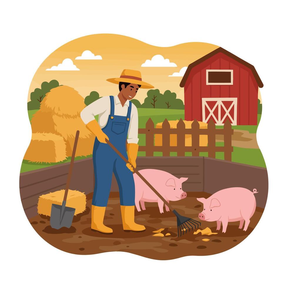 Farmer Working with Pigs in Pen at Barn on Sunny Day vector