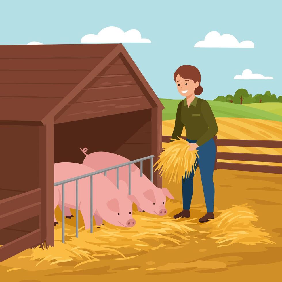 Woman Feeding Pigs Hay in Rural Farm Scene Illustration vector