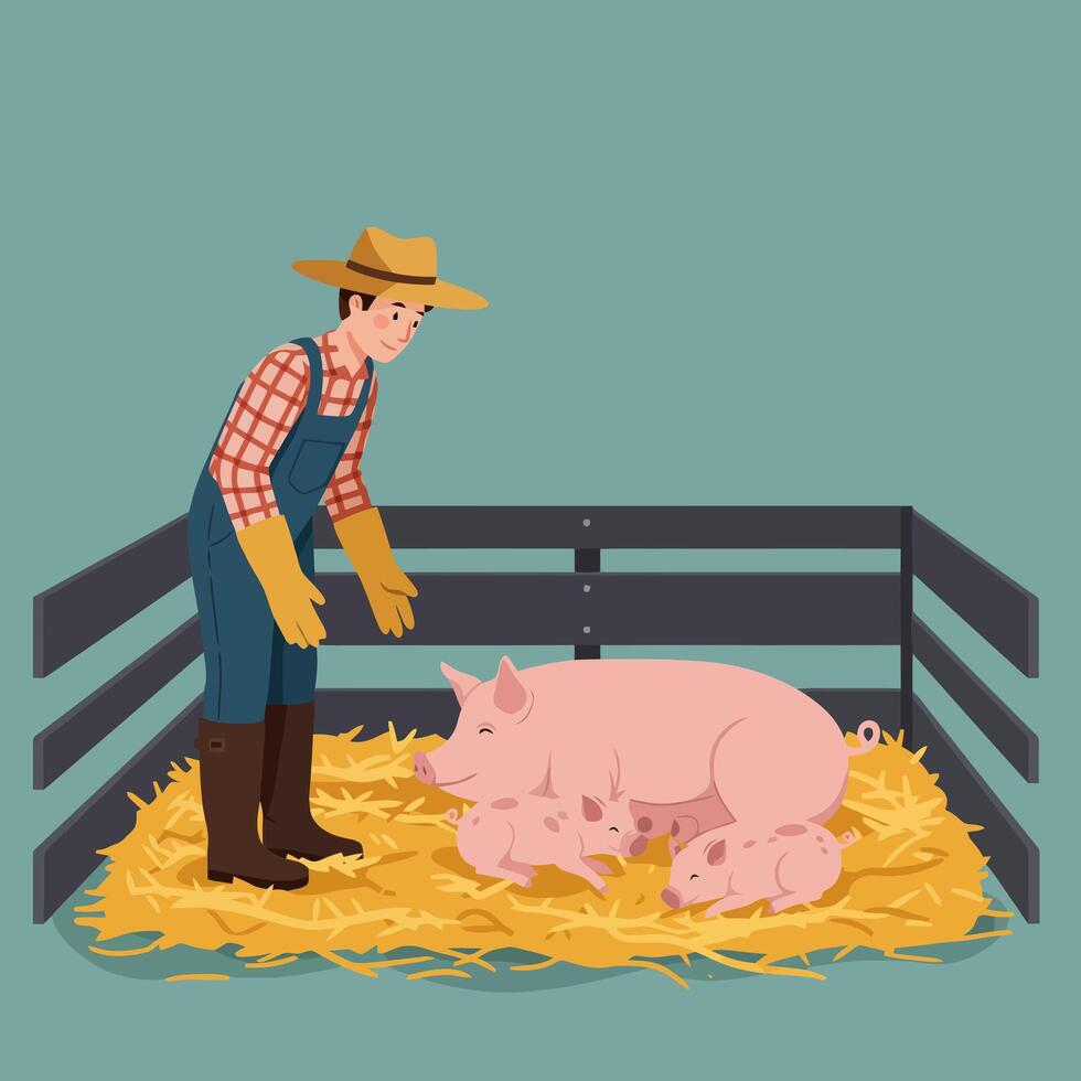 Farmer Watching Sow Nursing Piglets in Pen on Straw Bedding vector