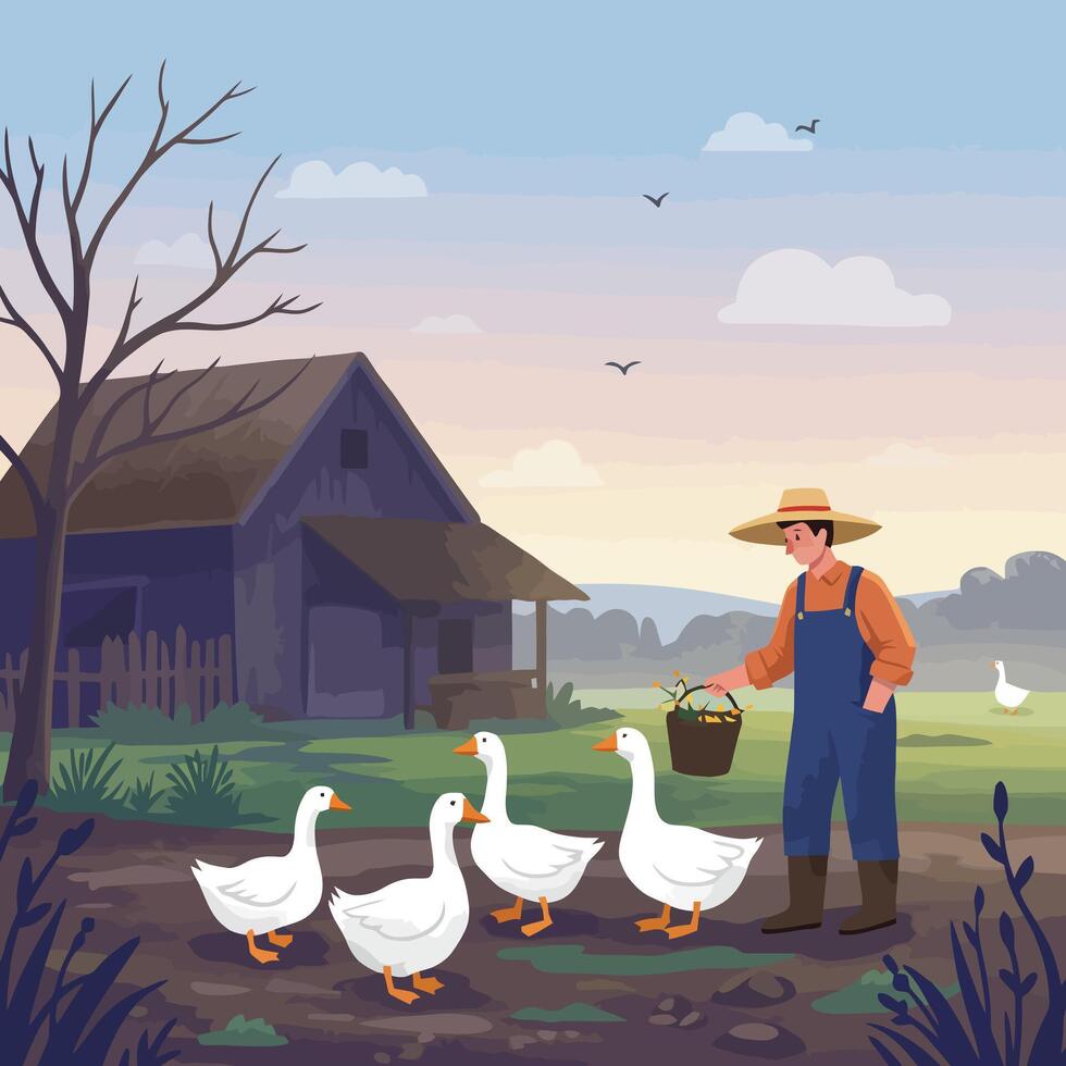 Farmer Feeding Geese on a Farm with Barn and Cloudy Sky vector