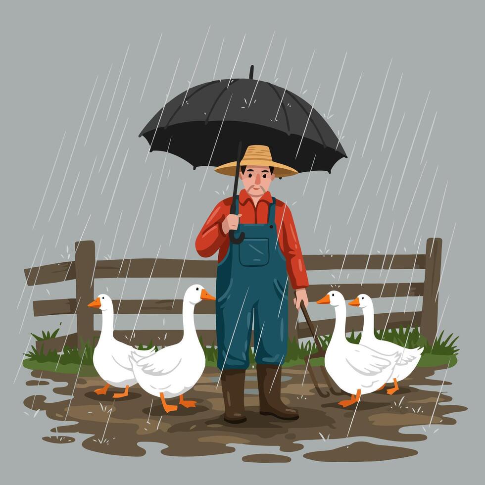 Farmer with Geese Walking in the Rain Under Umbrella Illustration vector