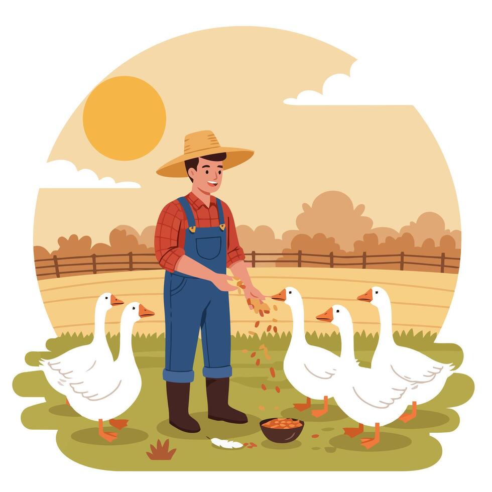 Farmer Feeding Geese on Farm Illustration Wearing Overalls and Hat vector