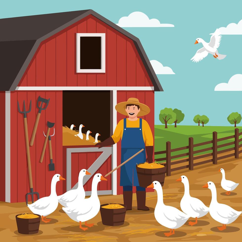 Farmer Feeding Geese by a Red Barn on Sunny Day Illustration vector