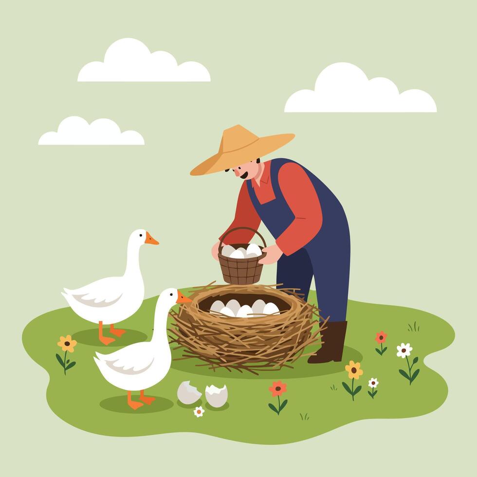 Farmer Collecting Eggs From Nest Surrounded by Geese on Farm vector