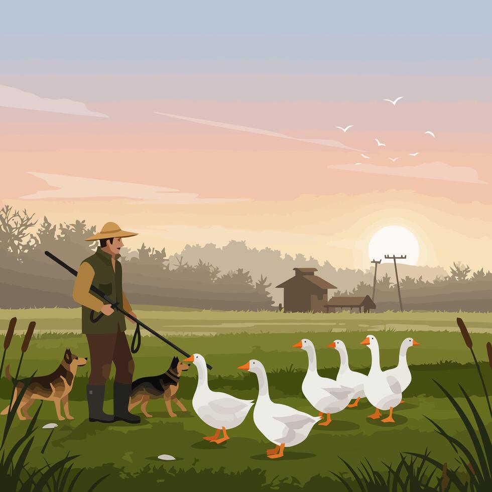 Farmer Herding Geese with Dogs in Rural Landscape at Sunset vector