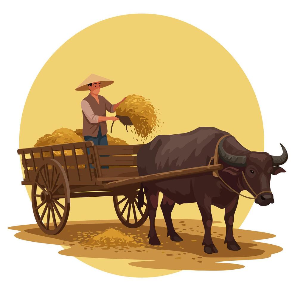 Farmer Loading Harvested Rice Into Cart Pulled by Water Buffalo vector