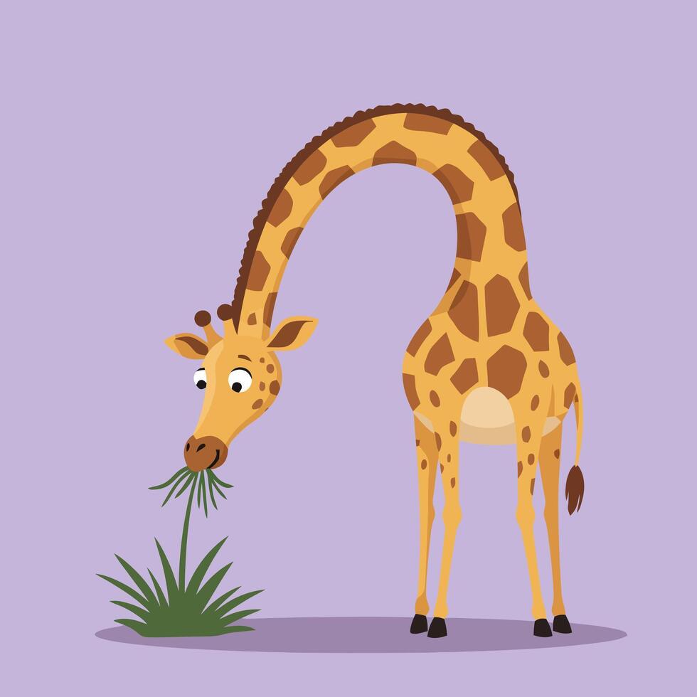 Cartoon Giraffe Eating Grass Illustration on Pale Purple Background vector