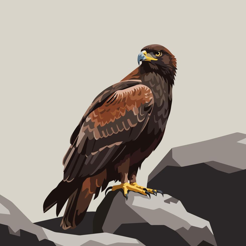 Eagle Perched on Rocks Majestic Bird Illustration vector