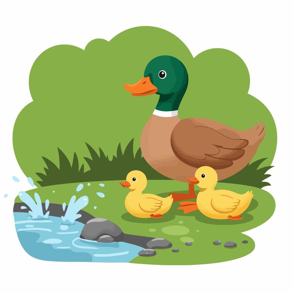 Duck and Ducklings by Pond Illustration in a Green Field vector