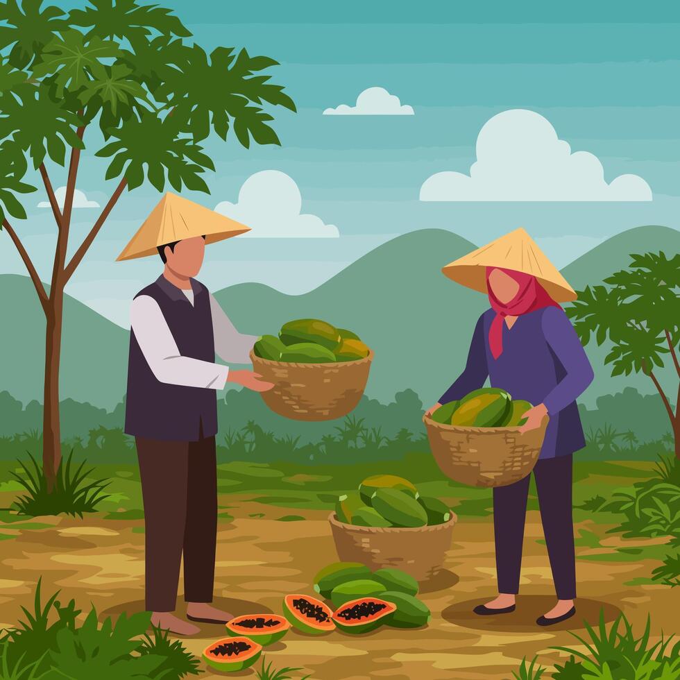 Farmers Harvesting Papayas in Rural Landscape with Mountains and Trees vector