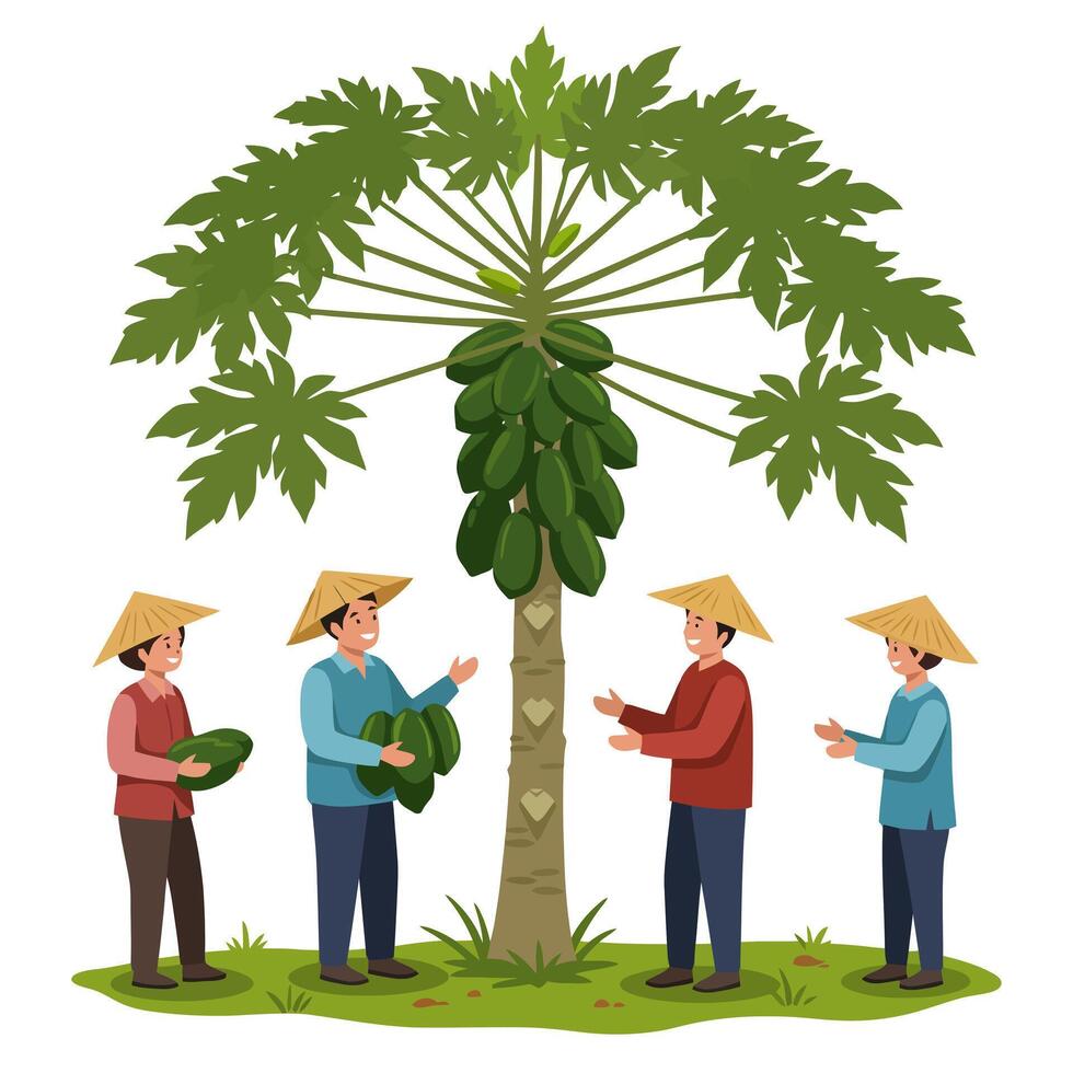 Farmers Harvesting Fresh Papayas Illustration Under Papaya Tree in Field vector