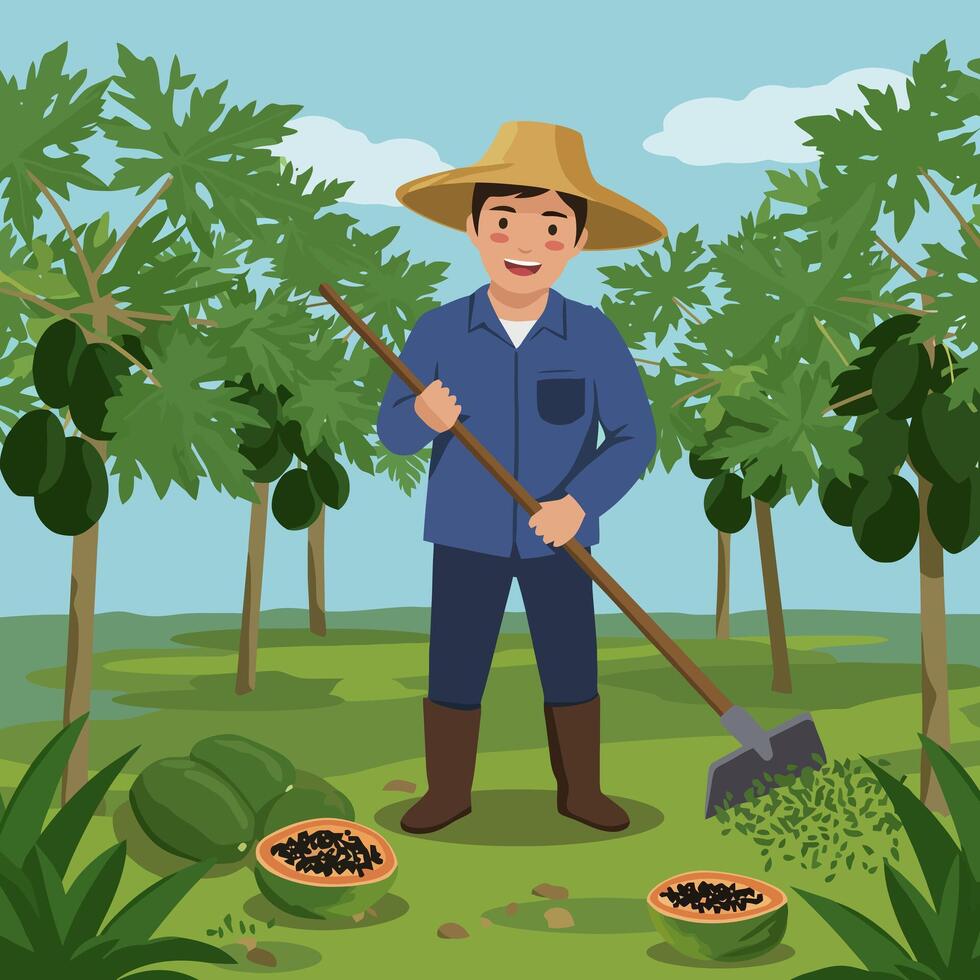 Farmer Raking Field Near Papaya Trees Fresh Fruit Harvest Illustration vector