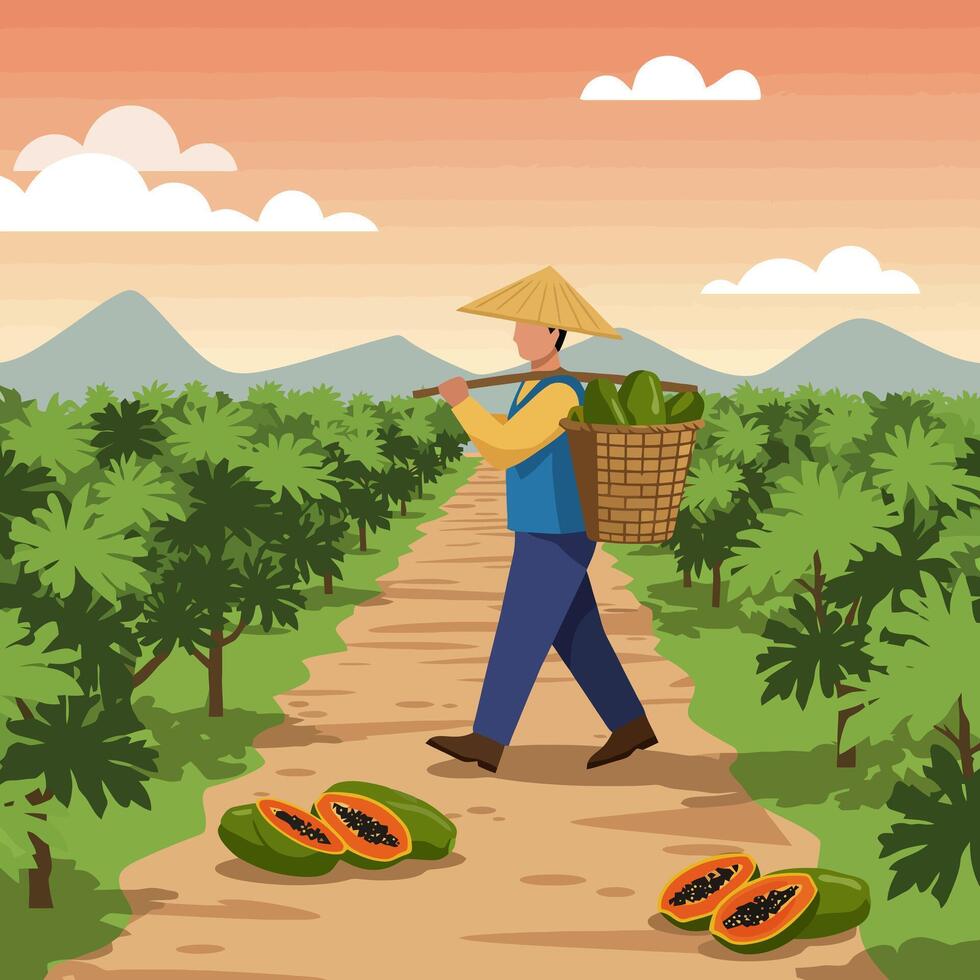 Farmer Carrying Papayas Through Orchard at Sunset in an Illustration vector
