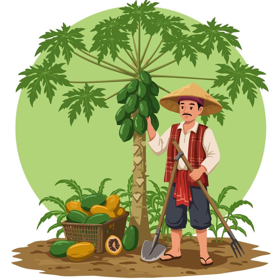 Farmer Harvesting Papaya Fruit Near Tree with Woven Basket vector