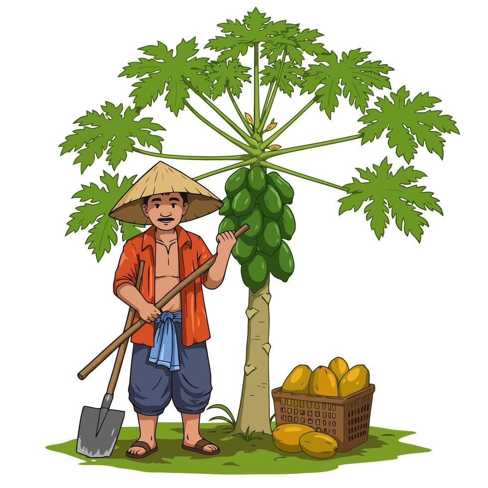 Farmer Harvesting Papaya Fruit in Orchard with Traditional Straw Hat vector