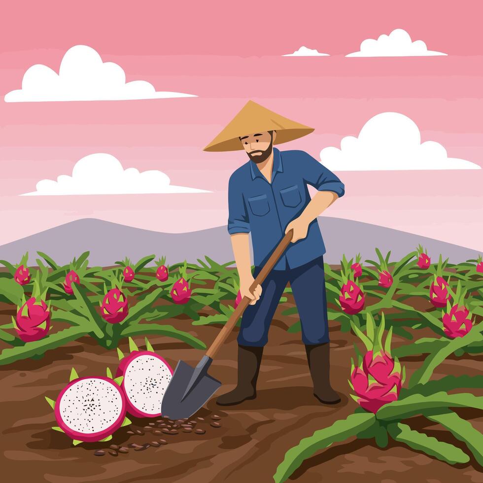 Farmer Tilling Soil in Dragon Fruit Field with Traditional Hat vector