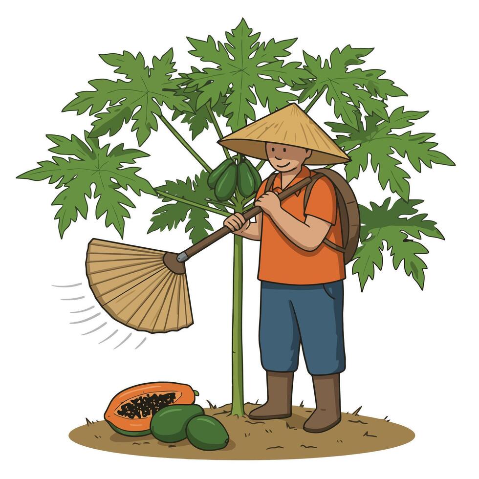 Farmer Using Rake Near Papaya Tree Harvesting Organic Fruits vector