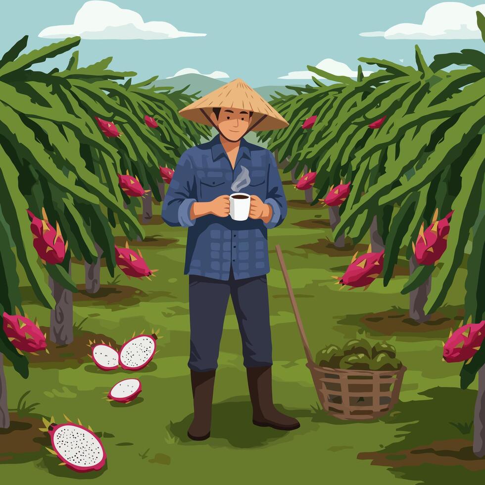 Farmer Enjoying Coffee in Dragon Fruit Field During Harvesting vector