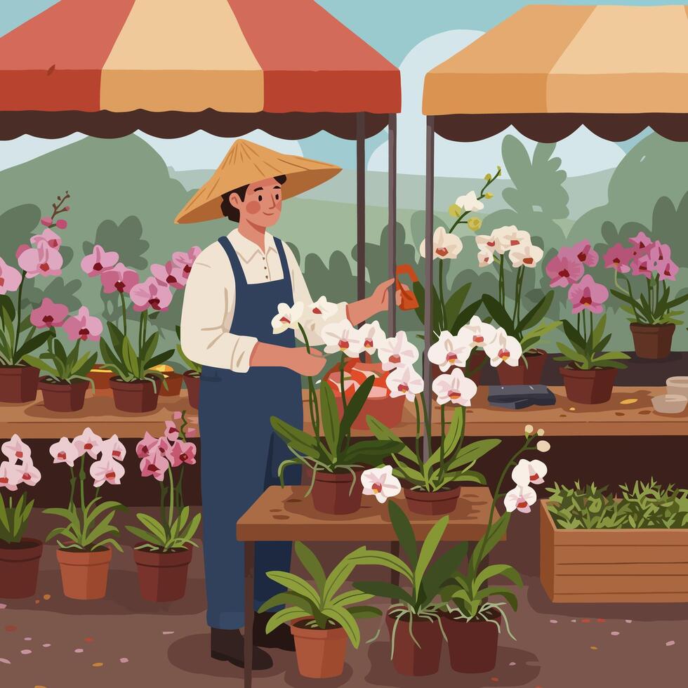 Gardener Tending to Orchids at Outdoor Flower Market with Tent vector