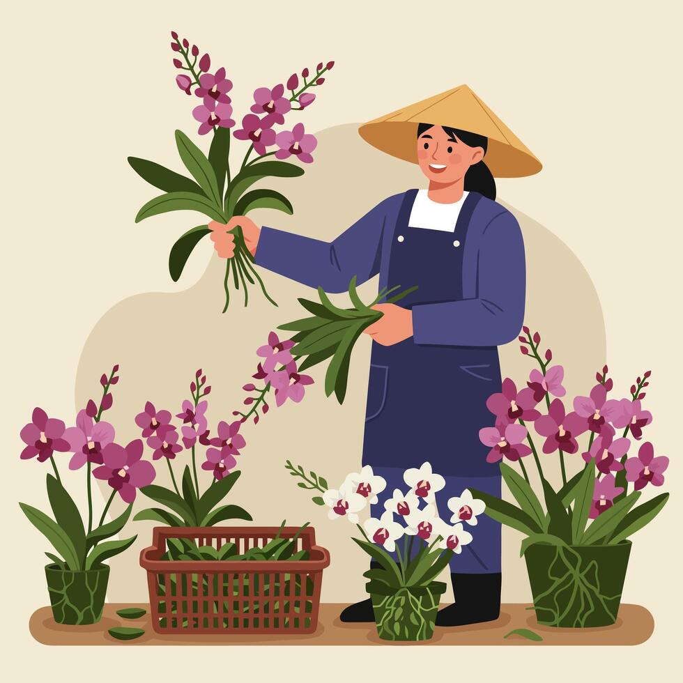 Woman Arranging Orchid Flowers in Pots and Basket, Gardening Concept vector