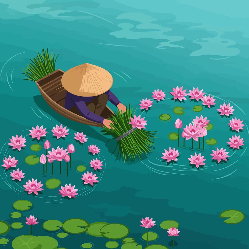Gathering Lotus Flowers by Boat on the Waterway Illustration vector