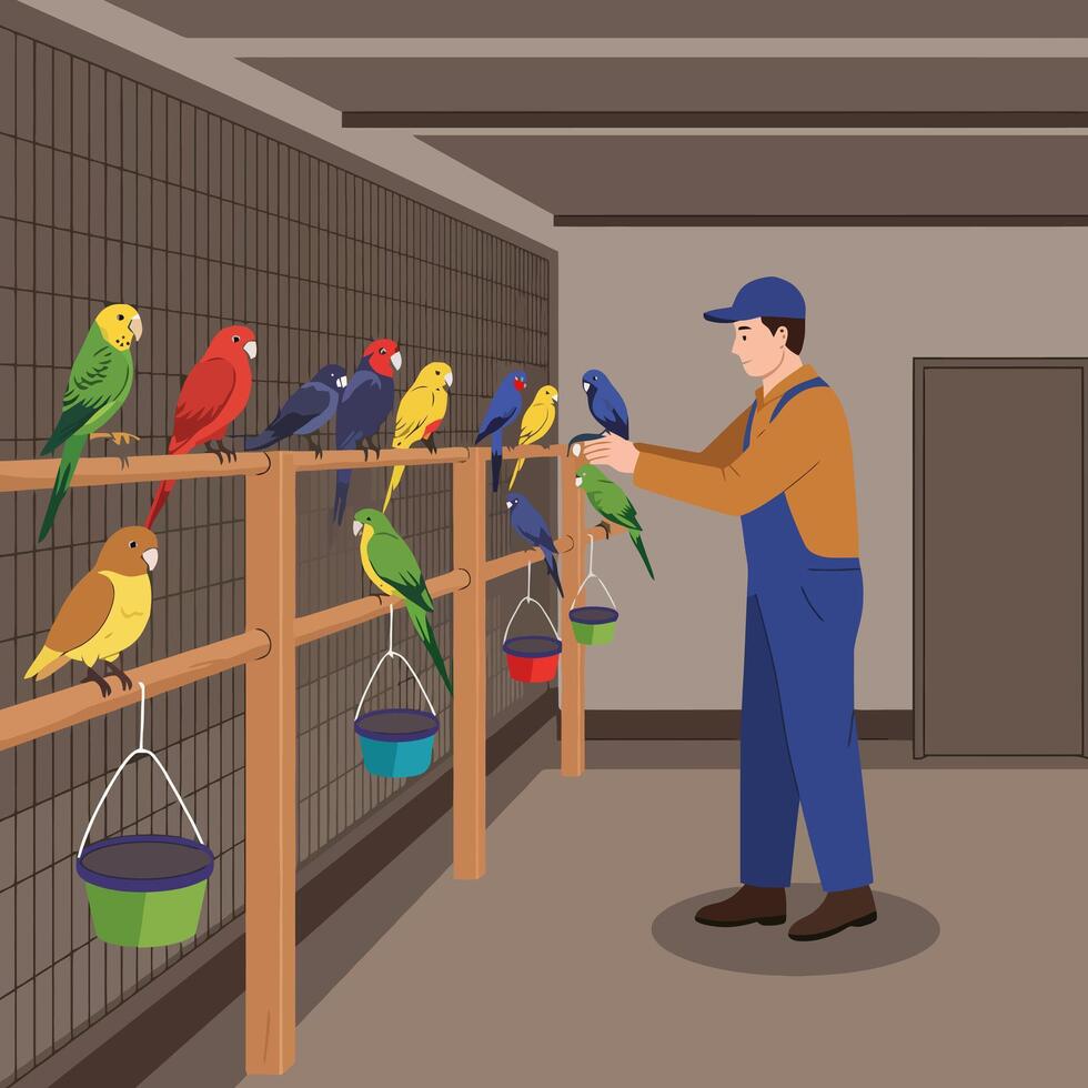 Caretaker Feeding Colorful Parrots Perched Inside Aviary with Hanging Food Bowls vector