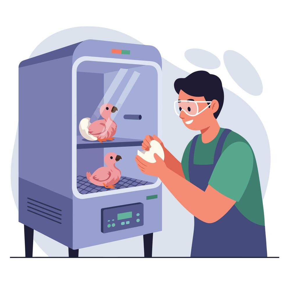 Person Hatching Bird Eggs in Incubator for Avian Conservation vector