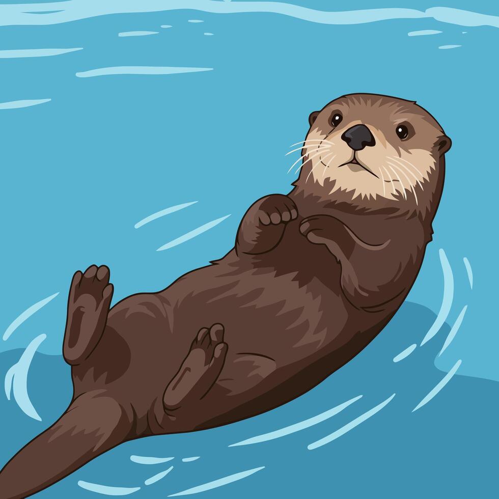 Floating Otter Cartoon Relaxing in Blue Water Looking Upward vector