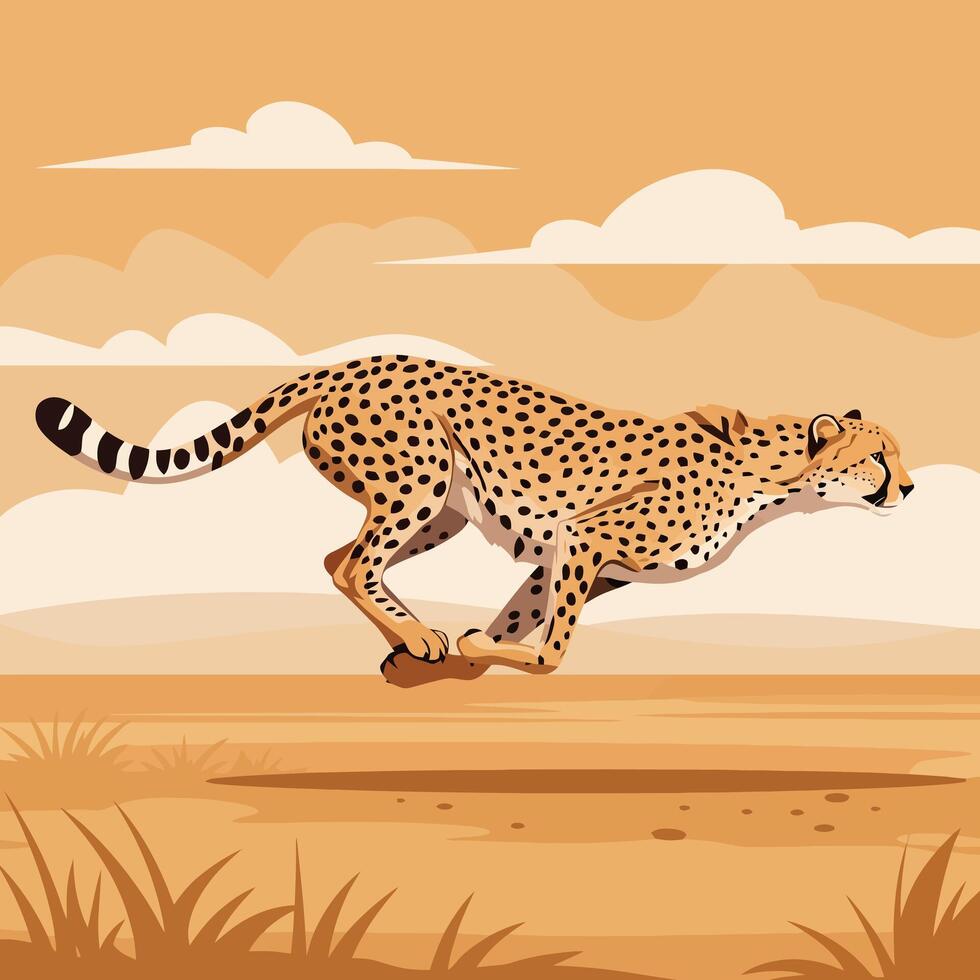 Cheetah Running Fast Across the African Savannah Ground Plains vector