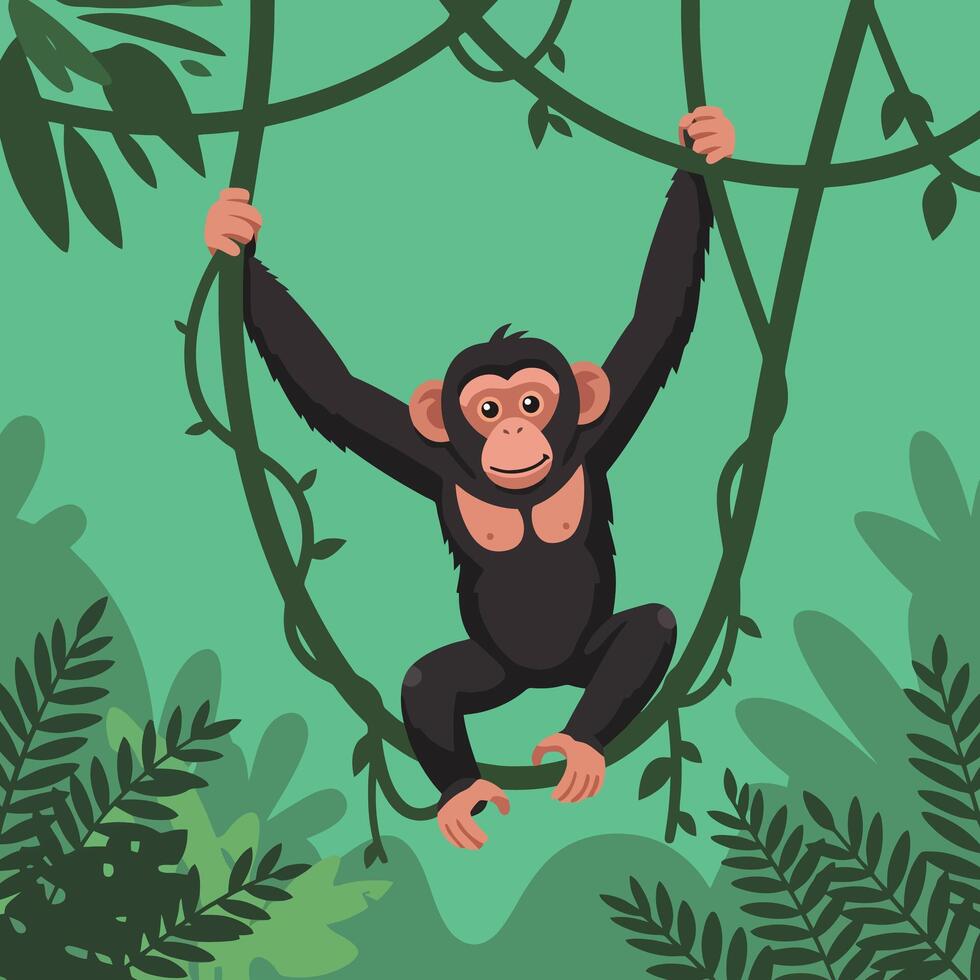 Chimpanzee Swinging on Vines in Jungle Illustration with Green Background vector