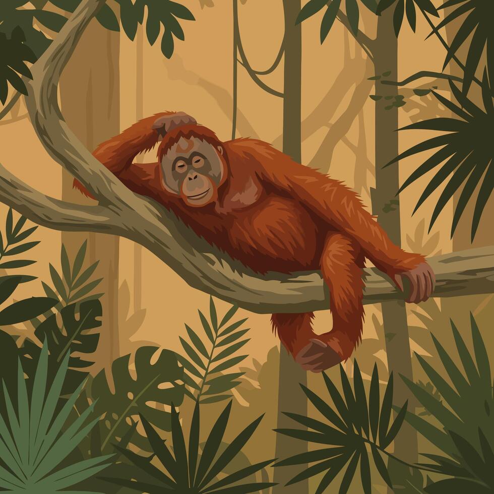 Resting Orangutan Reclining on Tree Branch in Tropical Jungle Illustration vector
