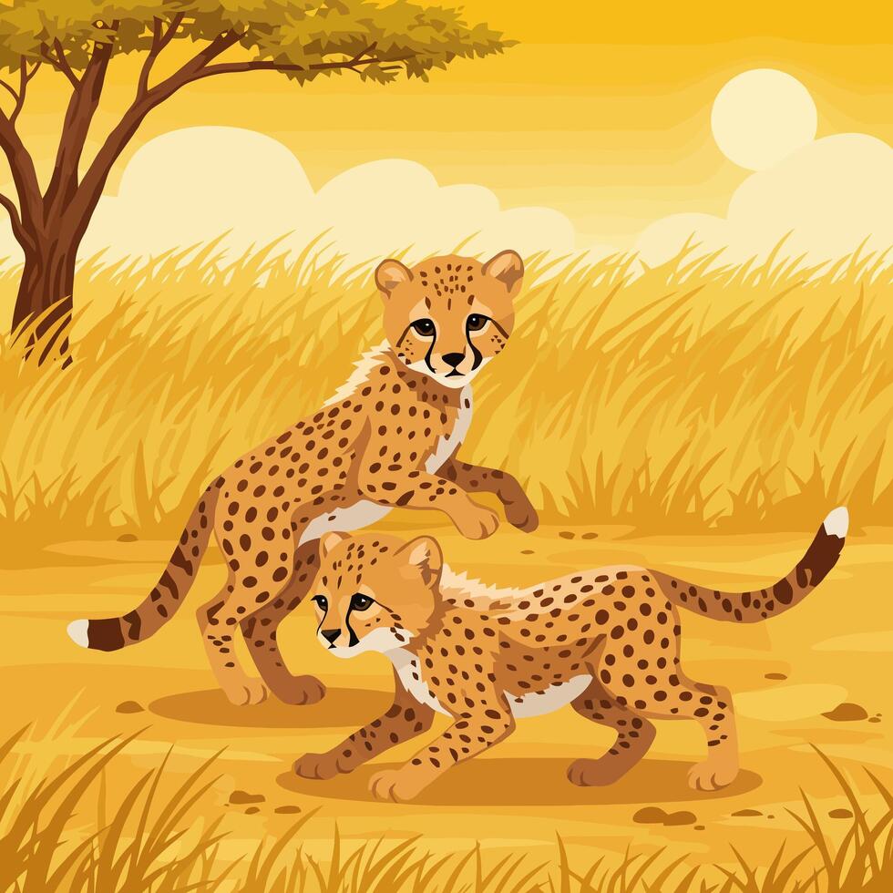 Two Cheetah Cubs Playing in Savannah Landscape Under Warm Sun vector