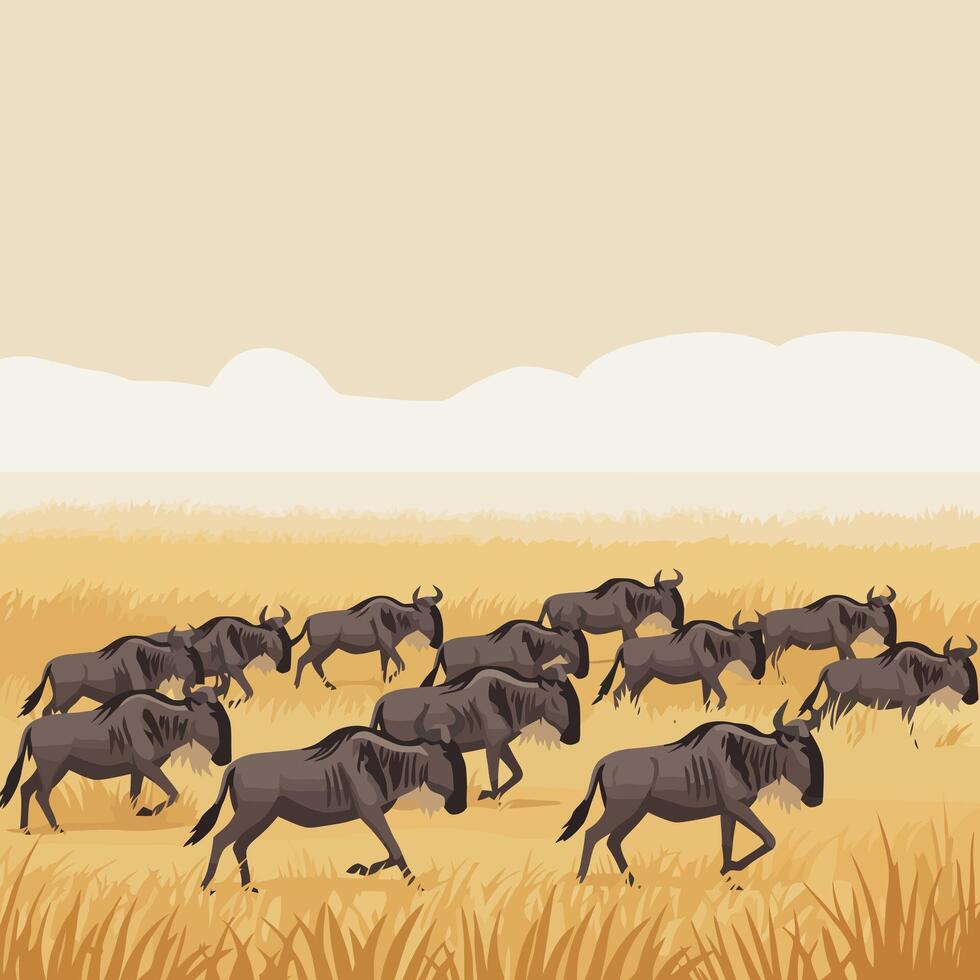 Wildebeest Migration Across the African Savannah Grassland Illustration vector
