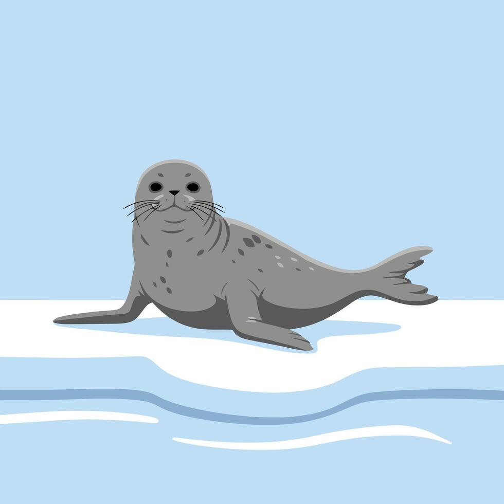 Resting Seal on Ice Illustration of Arctic Animal in Nature vector