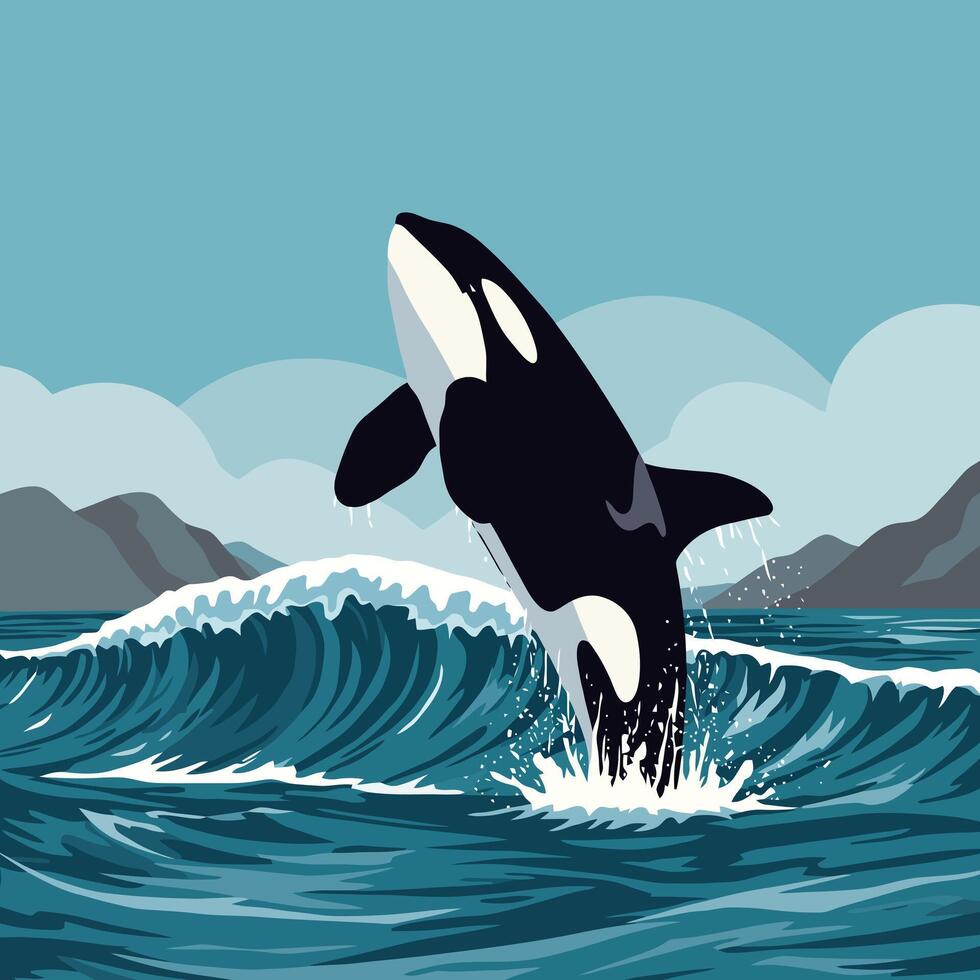 Killer Whale Breaching Ocean Surface with Mountain Landscape Illustration vector