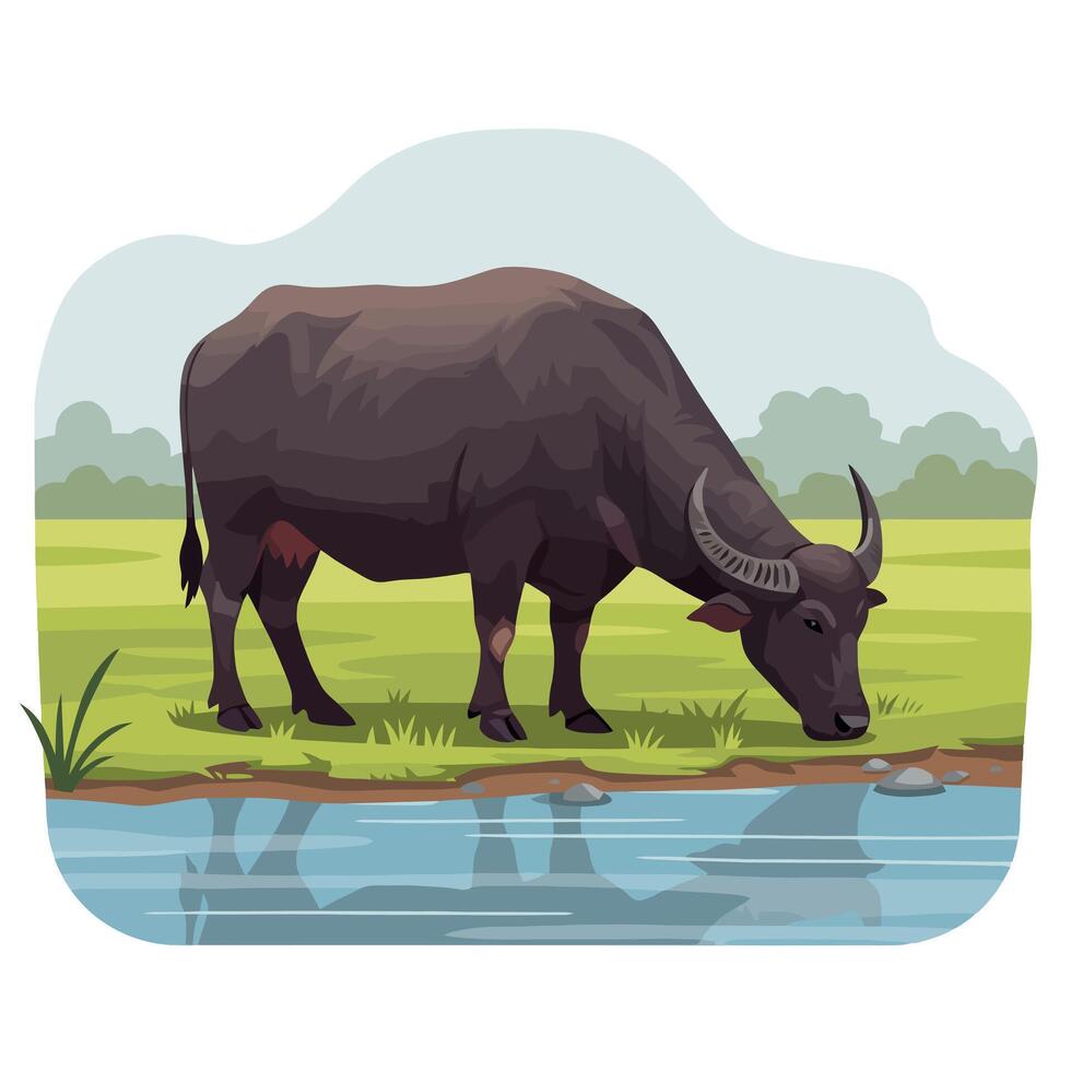 Water Buffalo Drinking Water From River in Grassy Field Illustration vector
