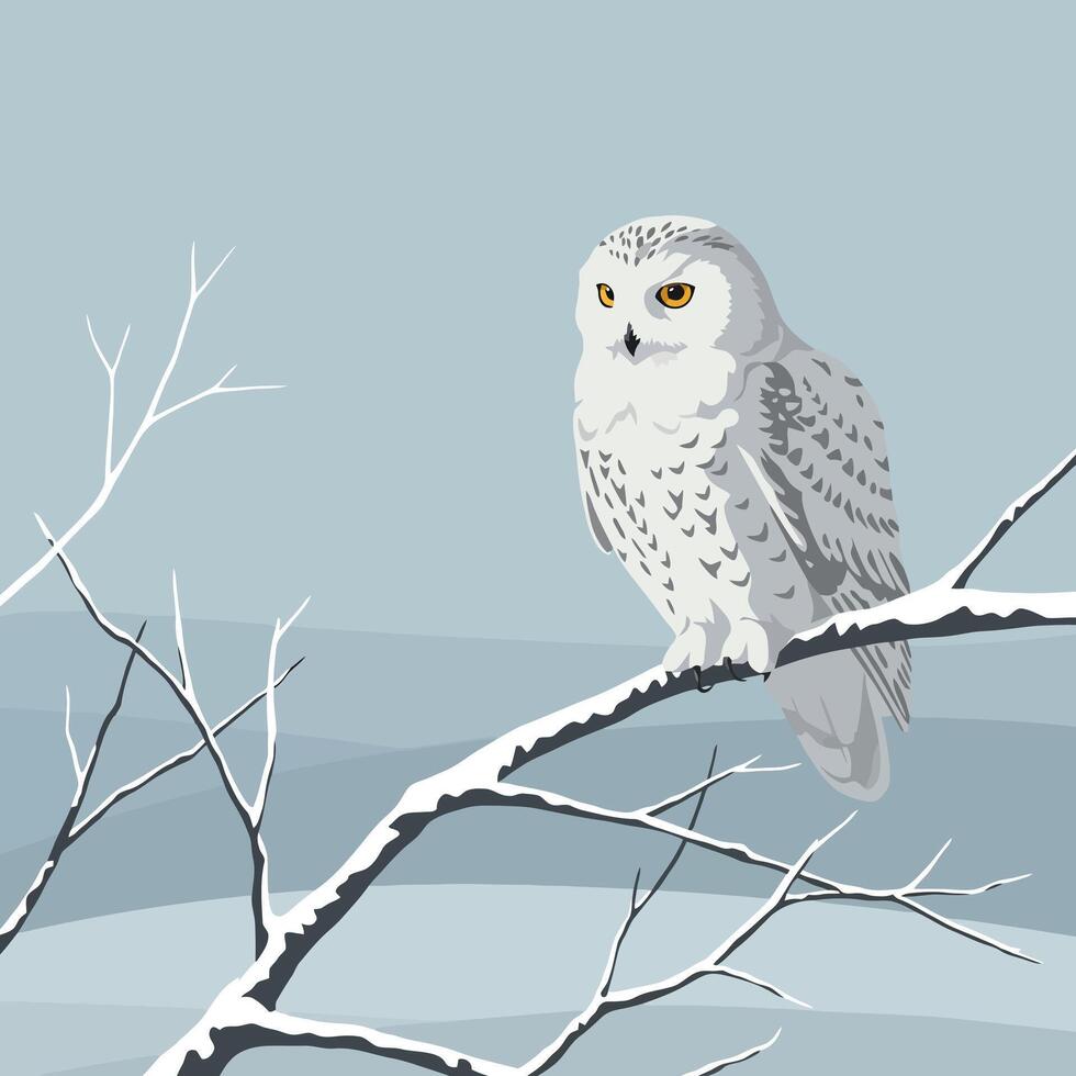 Owl Perched on Snowy Branch in Winter Illustration Style vector