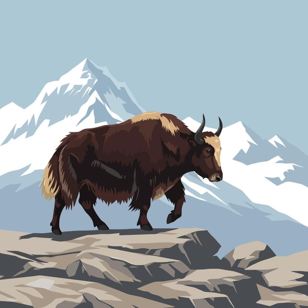 Yak Walking on Rocky Terrain with Snow Mountain Backdrop Art vector