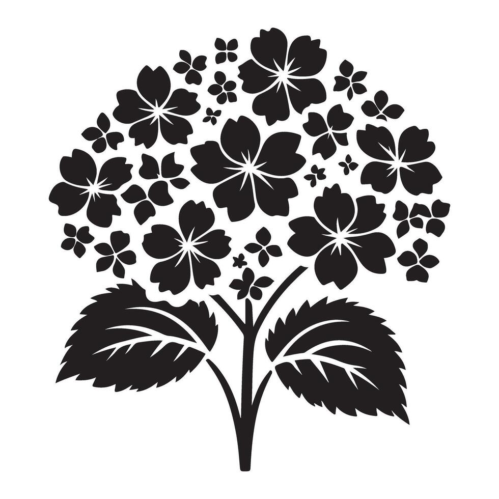 Hydrangea Flower Silhouette Illustration for Botanical Art Projects vector