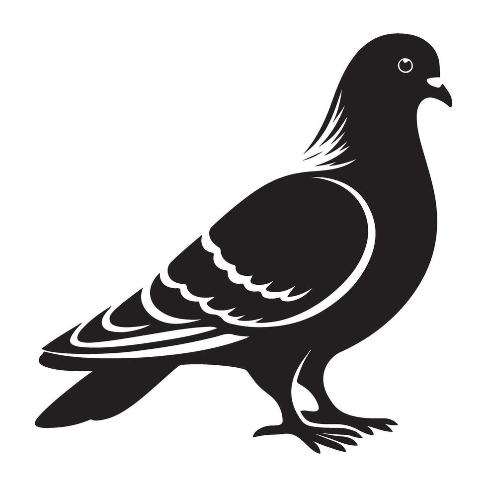 Pigeon Illustration Silhouette Bird Design Graphic Resource vector