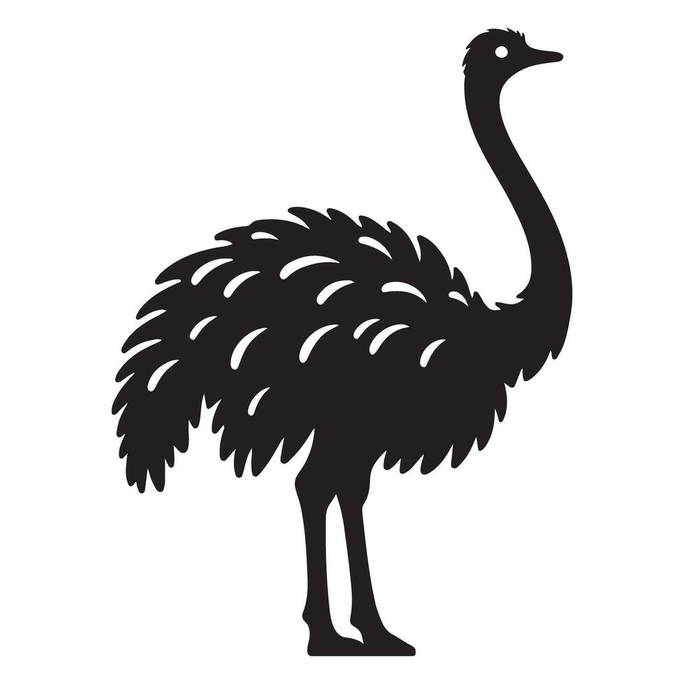 Silhouette Ostrich Walking Black Bird Graphics Illustration Image vector