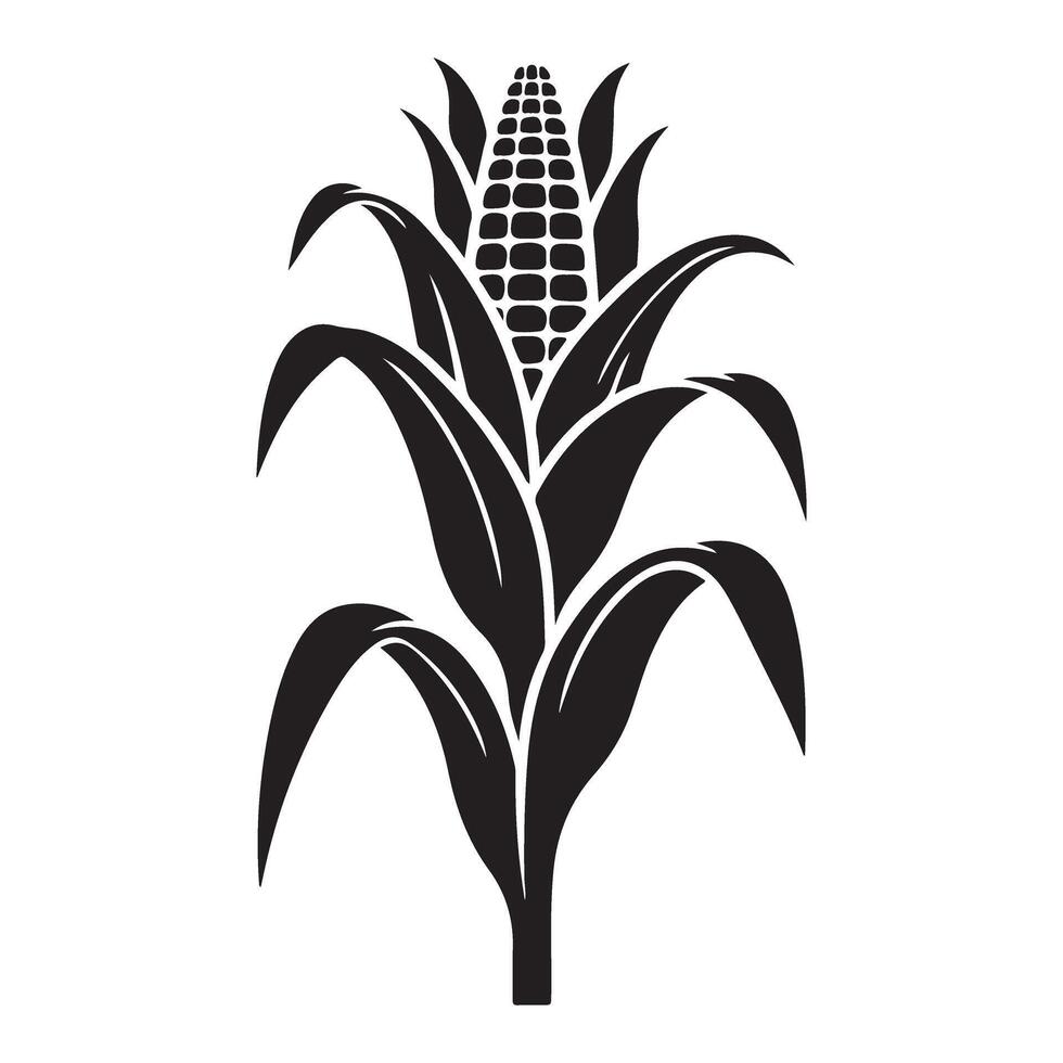 Illustration of Corn Plant on a White Background for Agricultural Projects vector