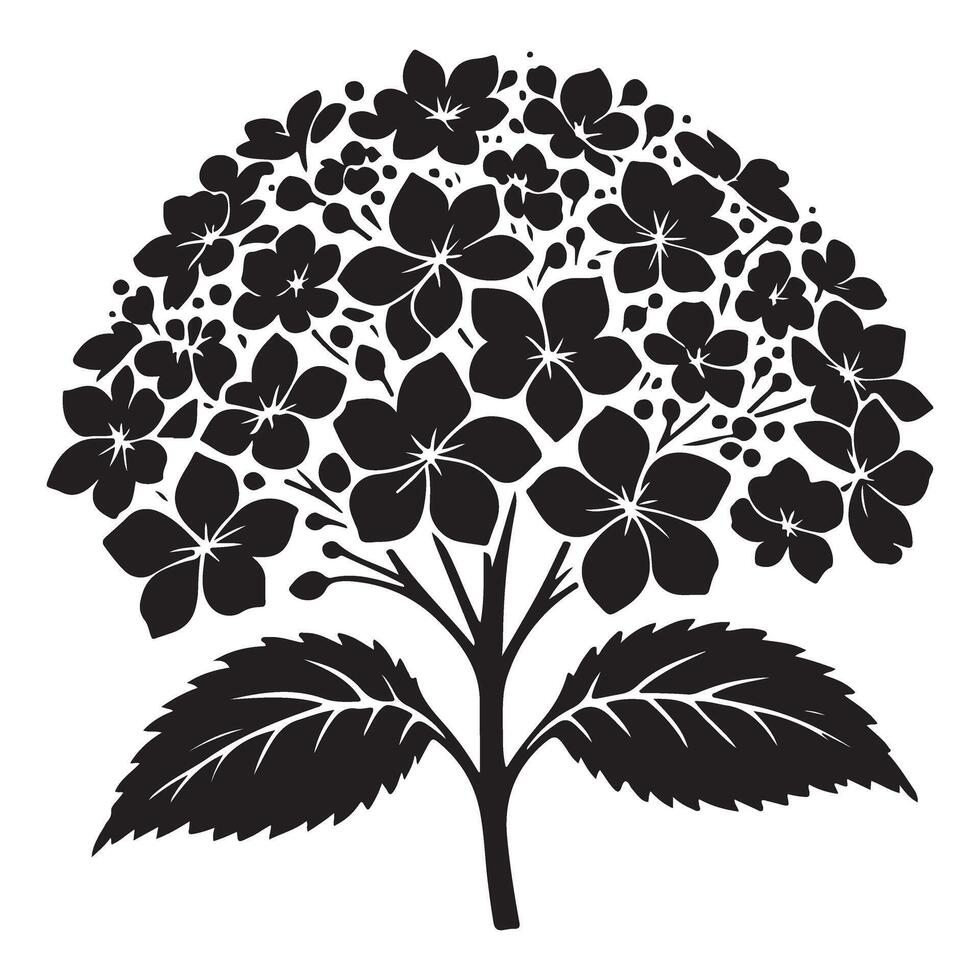 Beautiful Hydrangea Flower Silhouette Illustration for Botanical Design vector
