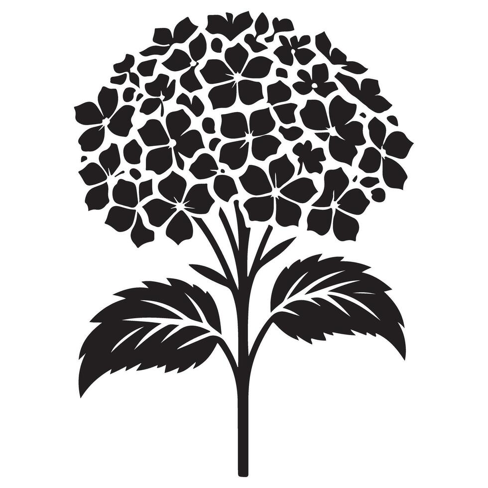 Hydrangea Flower Silhouette Simple Elegant Botanical Illustration vector