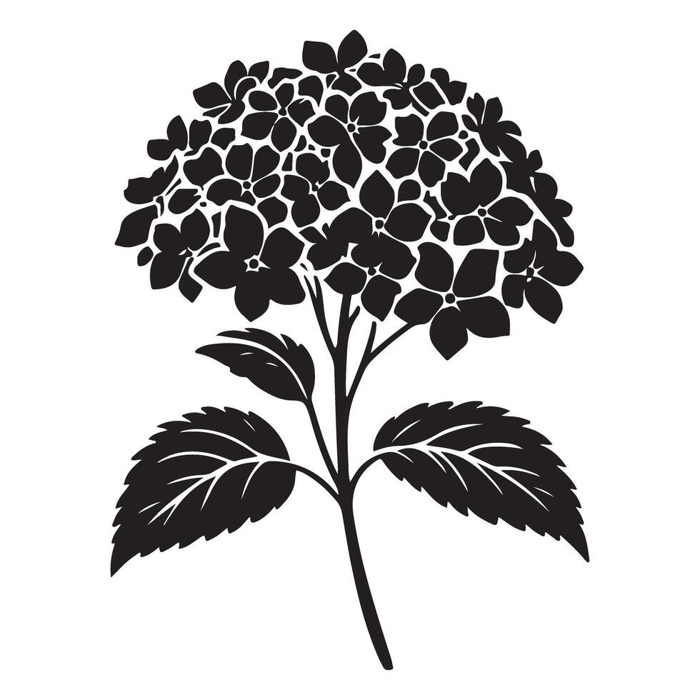 Elegant Hydrangea Flower Silhouette Illustration for Design Projects vector