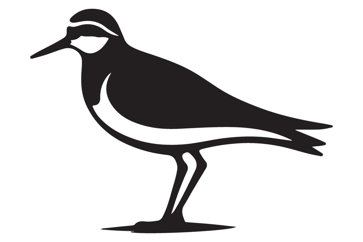 Elegant Shorebird Silhouette Artwork Graceful Coastal Bird Illustration vector