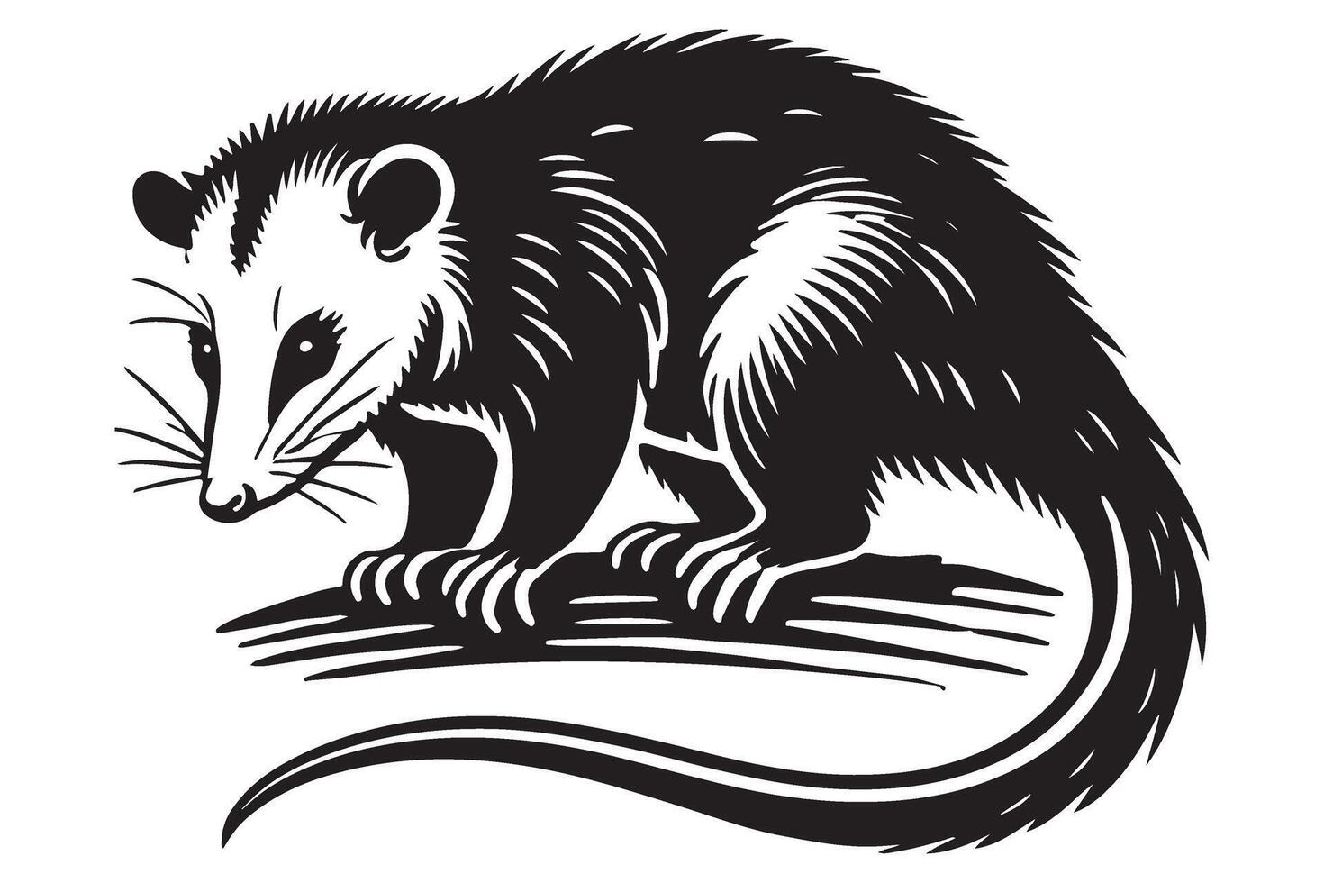 Opossum Silhouette A Detailed Graphic for Wildlife Designs vector